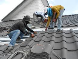 Best Asphalt Shingle Roofing  in Three Oaks, MI